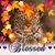 Sharon Sofsky's profile image