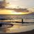 Michael Mangasarian's profile image