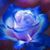 Elaine Jones's profile image