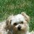 Jackie Williams's profile image