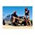 J.A. Gonzo's profile image