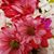 Mary C. Harmon's profile image