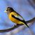 Candace Marie's profile image