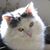 Kristin Deppe's profile image