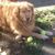 Rhonda Burk's profile image