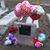 Thomasina Elliott's profile image