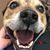 Mel Wallis's profile image