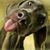 Damon Lumpkins's profile image