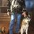 Abel Briseno's profile image