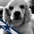 David Rodriguez's profile image