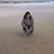 Shannon Daves-Miller's profile image