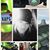 Kathy Gassin Dell's profile image