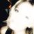 Angie Joe's profile image
