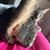 Jami Petersen Dare's profile image
