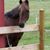 Gale Scannell Marcoux's profile image
