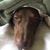 Jarrod Burklow's profile image