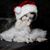 Kimberly Dawn's profile image
