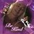 Shelley Klaner's profile image