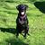 Marci LaRocque's profile image