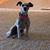 Alisha Dralle's profile image