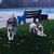 Karen LeBlanc's profile image