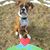 JoAnn Moberg's profile image