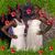 Nikisha Clouden's profile image