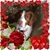 Salvatore A Zingalli's profile image