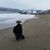 Cora Asuncion Baliton's profile image