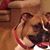 Dena Henry's profile image