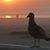 Pamala Smith Kagarise's profile image