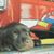 Rick Huffman's profile image