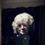 Marion Lougas's profile image