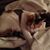 Nancy Clement Meyers's profile image