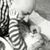 Kelly Hinrichs's profile image