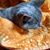 Lindsay Fiske's profile image