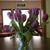 Eileen Smith Landmann's profile image