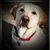 Judith Wilder's profile image