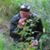 Pearl Musser's profile image