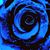 Joan Ogburn-Hyson's profile image