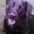 William Robinson's profile image