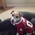 Dale Armstrong's profile image