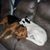 Denise Redys Hynson's profile image