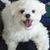 Everly Y Le's profile image