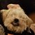Tricia Michaelis's profile image