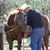 David Greenshield's profile image