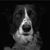 Sandi Miller's profile image