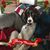 David Waggoner's profile image