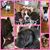 Shelly Rack's profile image
