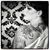 Rebecca S. Breckenridge's profile image